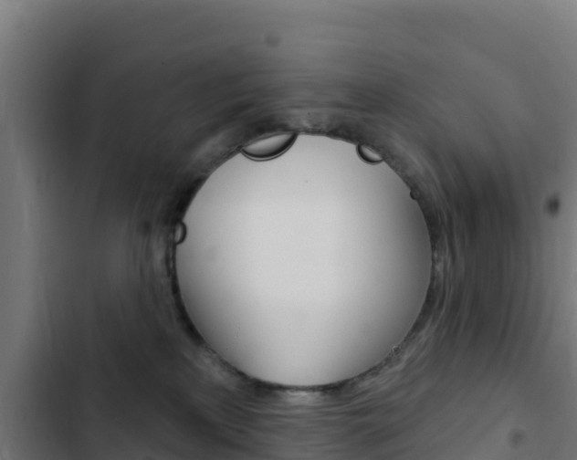 X0000103440233200809121109