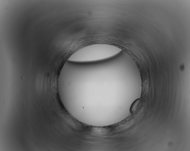 X0000103440234200809121109