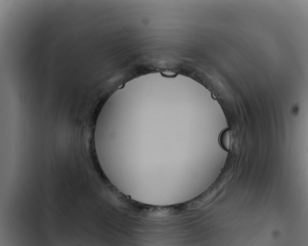 X0000103440235200809121109
