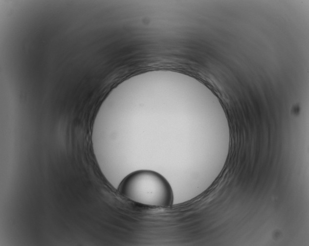 X0000103440237200809121109