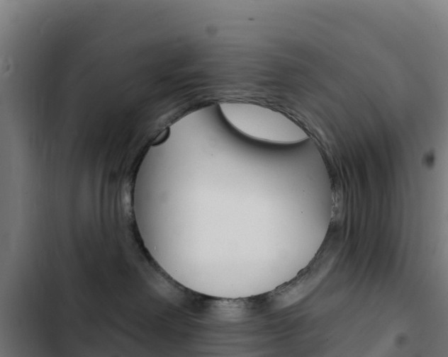 X0000103440238200809121109