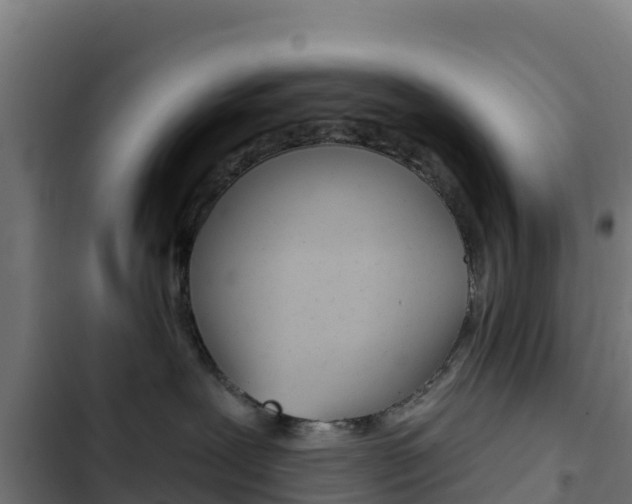 X0000103440239200809121109