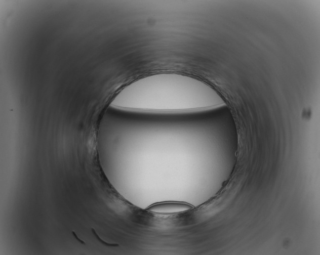 X0000103440240200809121109