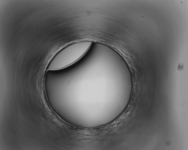 X0000103440241200809121108