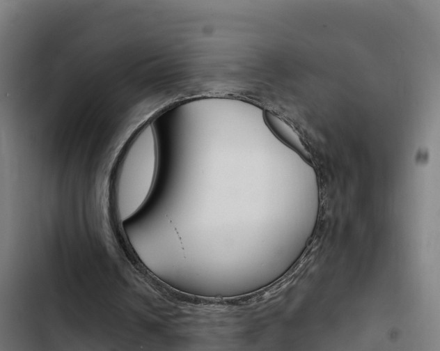 X0000103440242200809121108