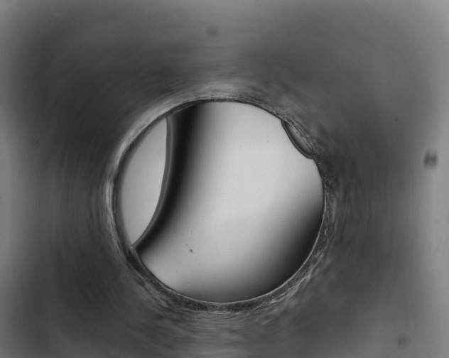 X0000103440244200809121108