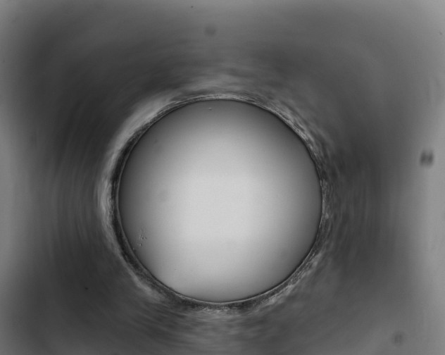 X0000103440245200809121108