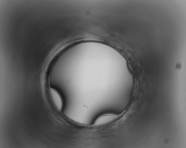 X0000103440247200809121108