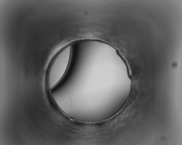 X0000103440248200809121108