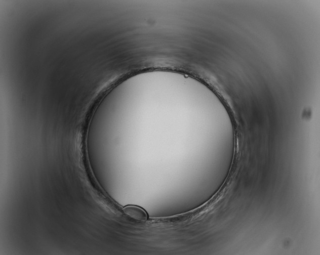 X0000103440249200809121108