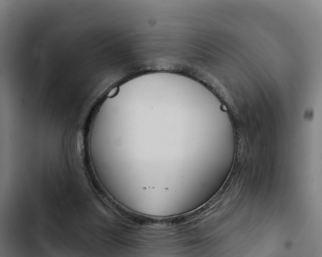 X0000103440251200809121108