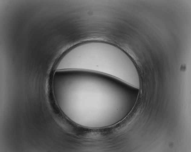X0000103440252200809121108