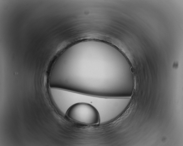 X0000103440253200809121108