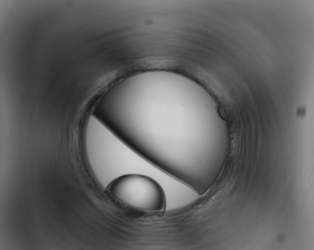 X0000103440254200809121108