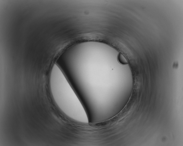 X0000103440255200809121108
