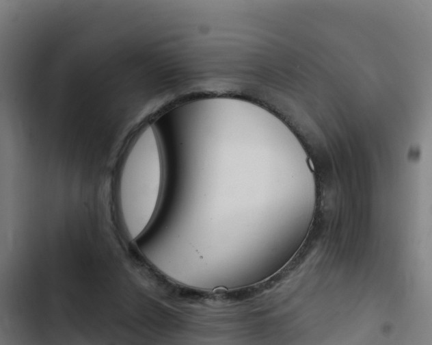 X0000103440256200809121108