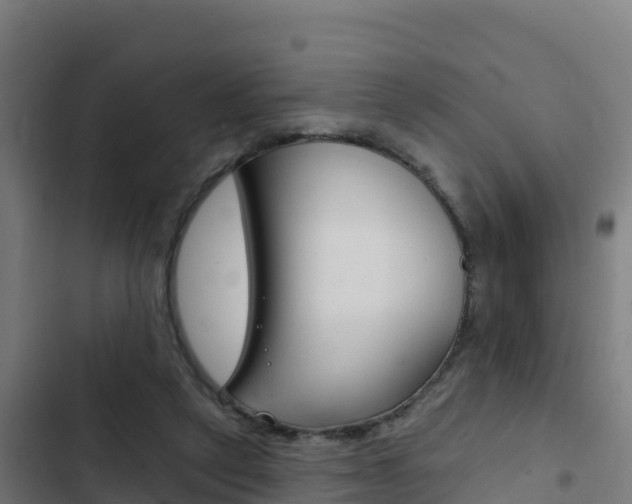 X0000103440257200809121108
