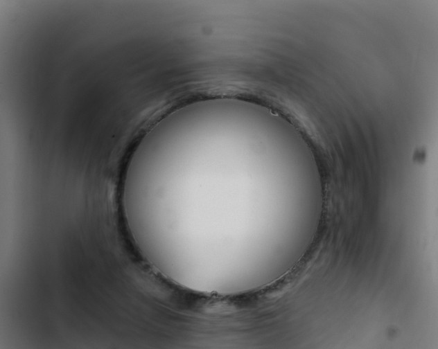 X0000103440258200809121108