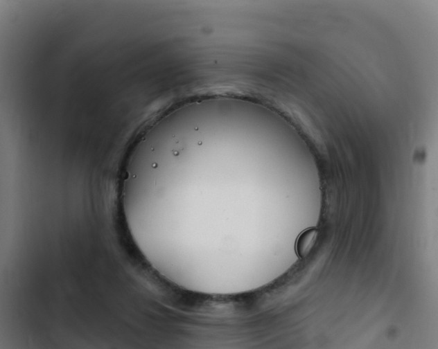 X0000103440260200809121108