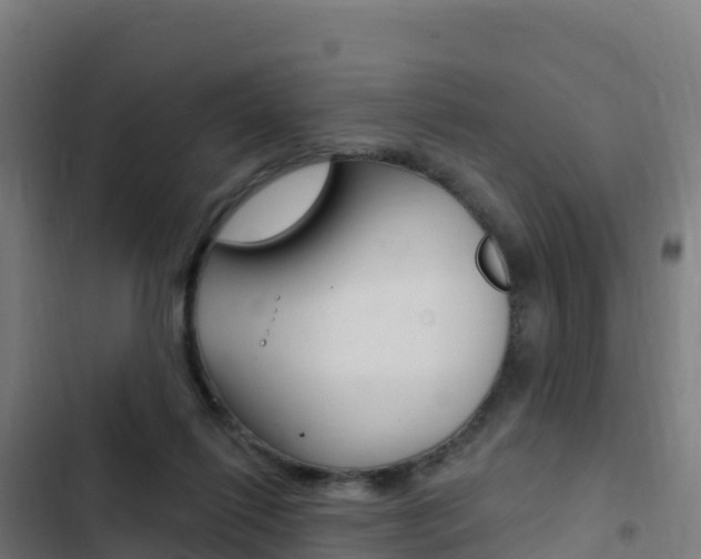 X0000103440262200809121108