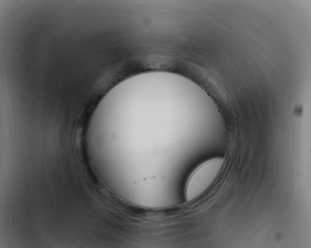 X0000103440263200809121108