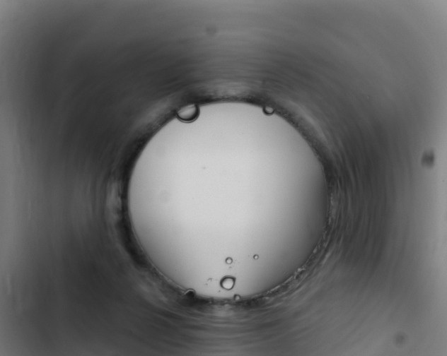 X0000103440264200809121108