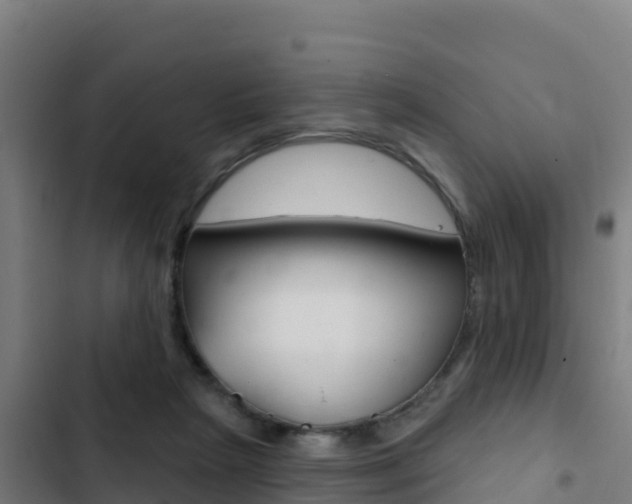 X0000103440265200809121108