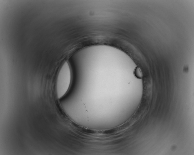 X0000103440266200809121109