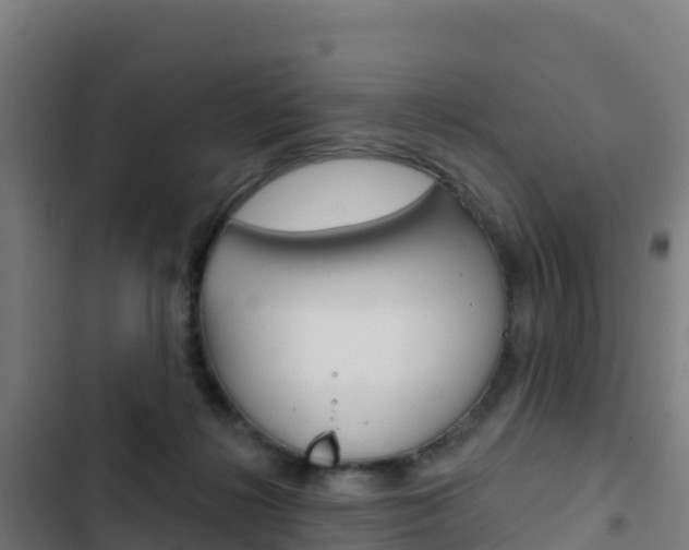 X0000103440268200809121109