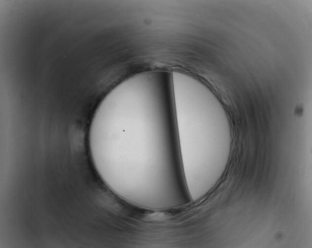 X0000103440269200809121109