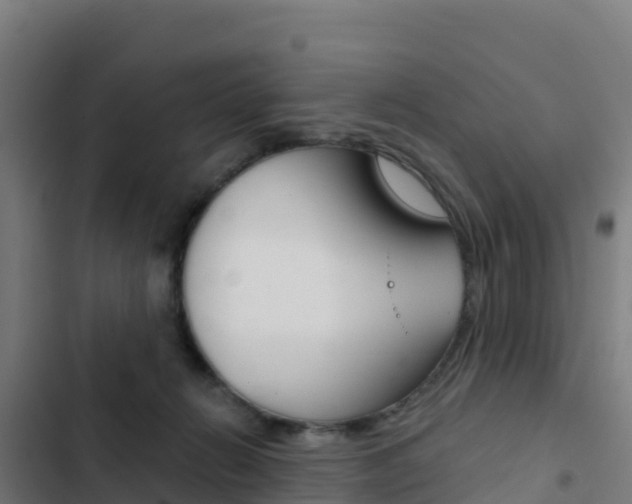 X0000103440270200809121109
