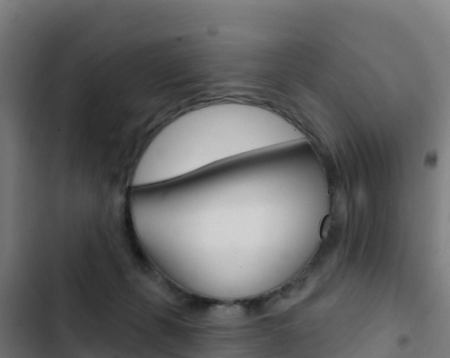 X0000103440271200809121109