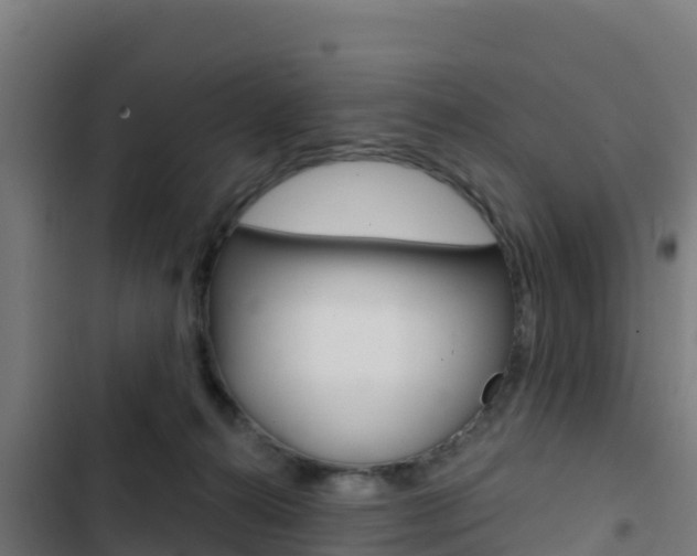 X0000103440272200809121109