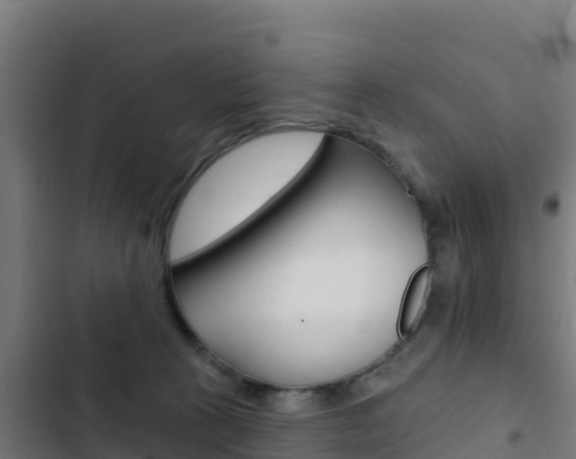 X0000103440273200809121109