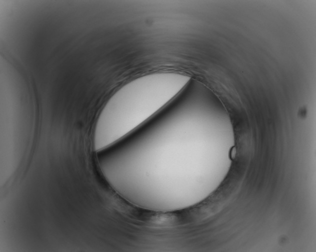 X0000103440274200809121109