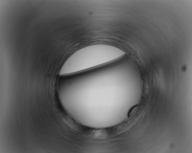 X0000103440275200809121109