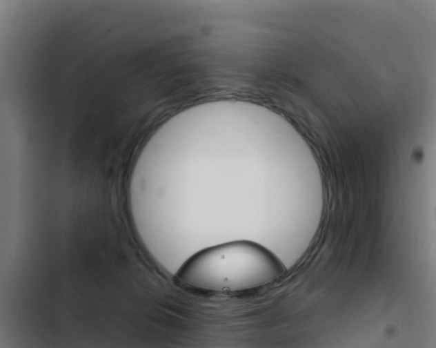 X0000103440276200809121109
