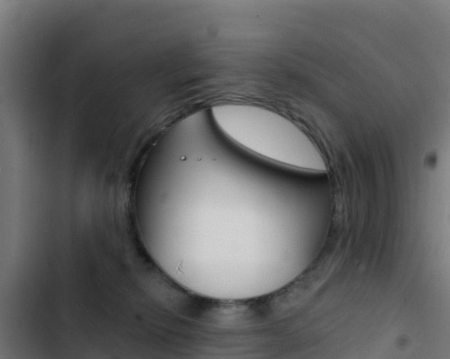 X0000103440278200809121109