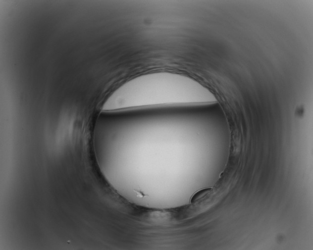 X0000103440279200809121109