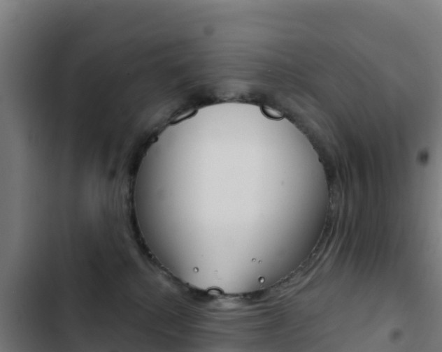 X0000103440280200809121109