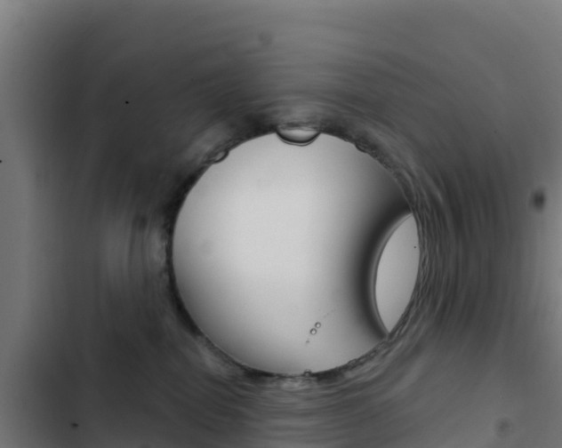 X0000103440282200809121109