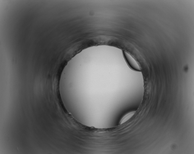 X0000103440283200809121109