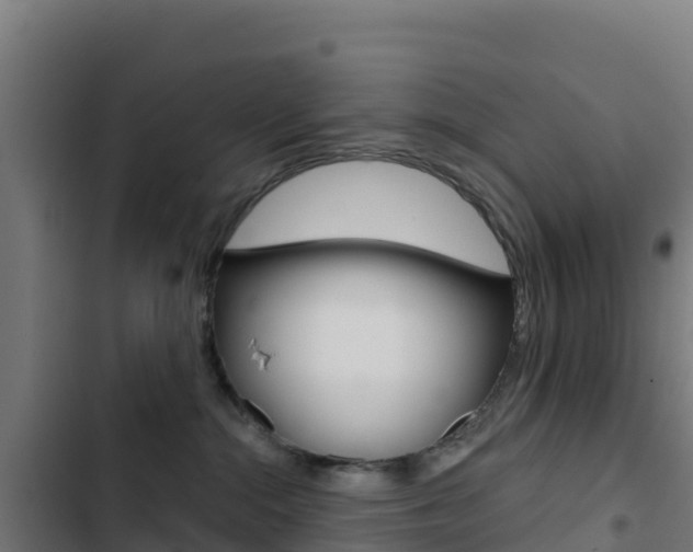 X0000103440284200809121109