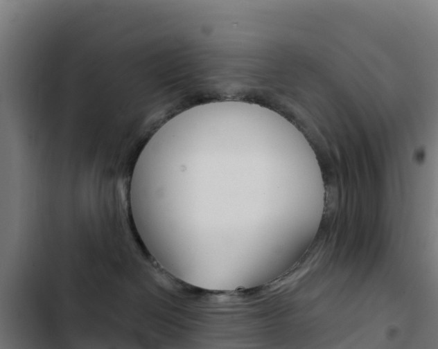 X0000103440286200809121109