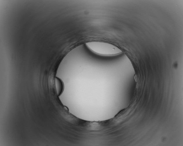 X0000103440287200809121109