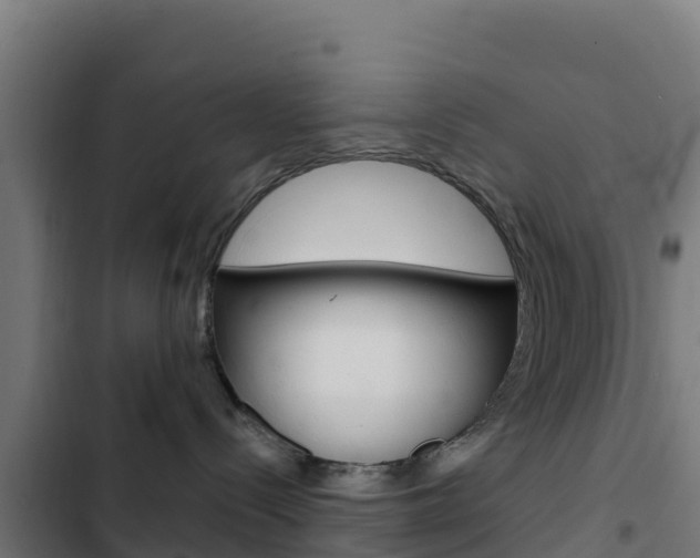X0000103440288200809121109