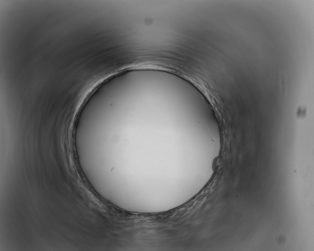 X0000103440289200809121108