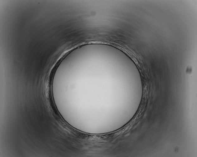 X0000103440290200809121108