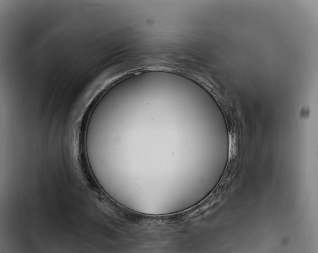 X0000103440291200809121108
