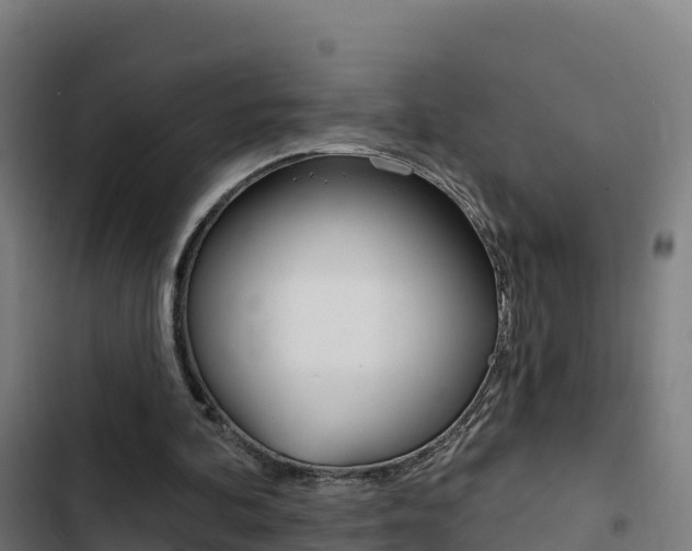 X0000103440292200809121108